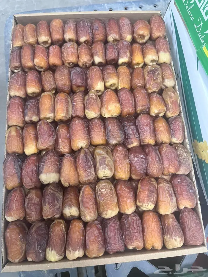 تمر صقعي للبيع 5