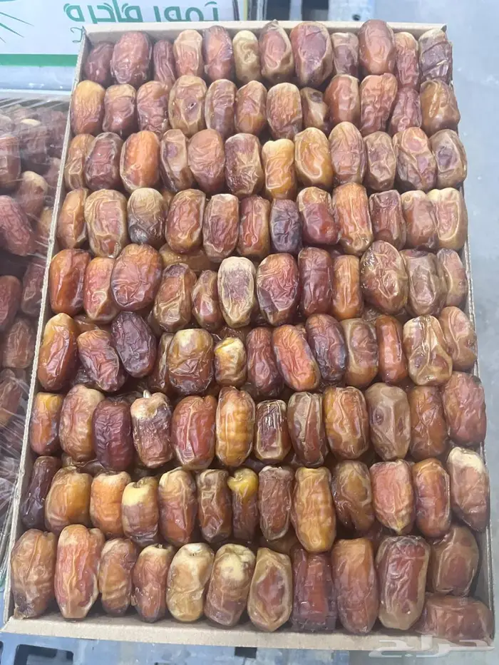 تمر صقعي للبيع 4