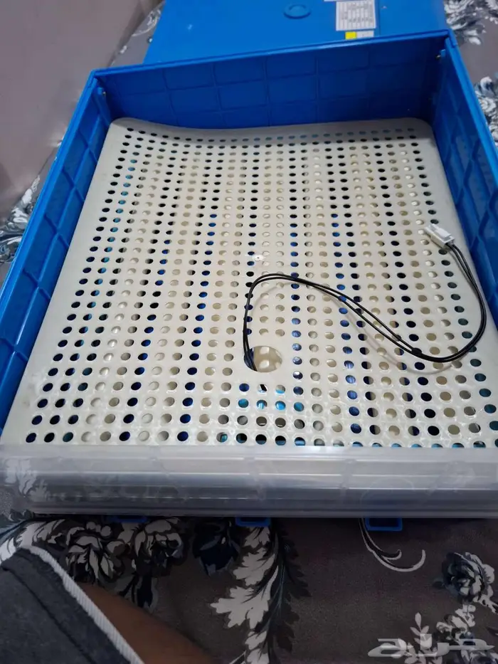 فقاسة بيض 40 بيضة جديدة لم تستخدم 3