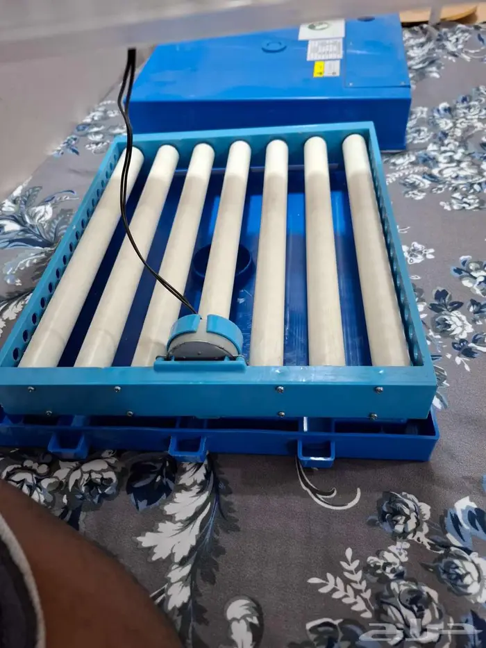 فقاسة بيض 40 بيضة جديدة لم تستخدم 2