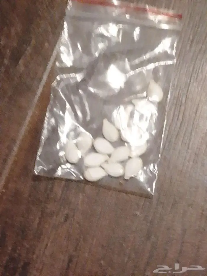 بذور قرع عسلي 0