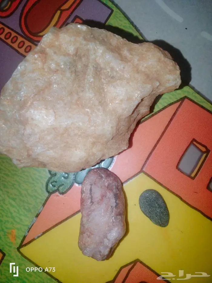 حجرات كريمه للبيع أعلى سعر 0