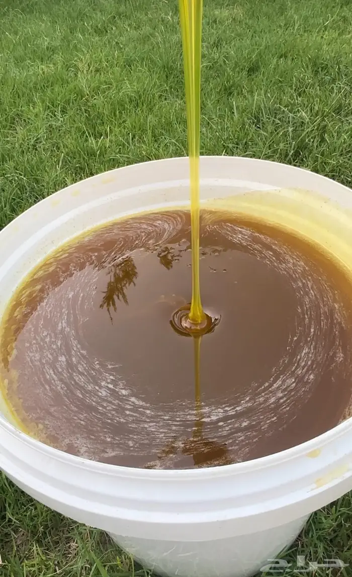 عسل اثل صافي جملة وزن 20 كيلو تقريبا 1