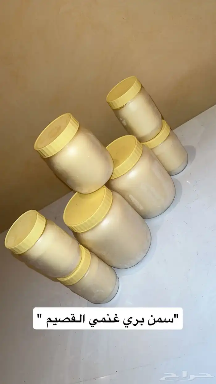 يوجد لدينا سمن بري صافي عالشرط   كشنه صياديه على الحطب 3