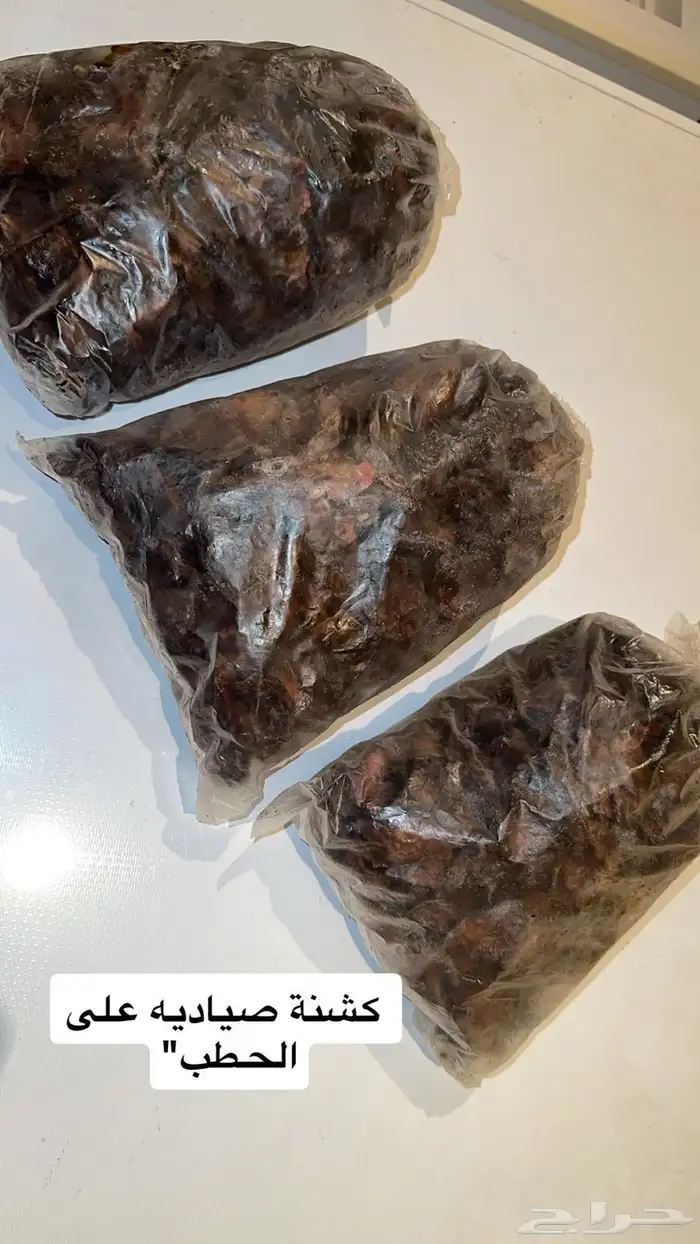 يوجد لدينا سمن بري صافي عالشرط   كشنه صياديه على الحطب 0