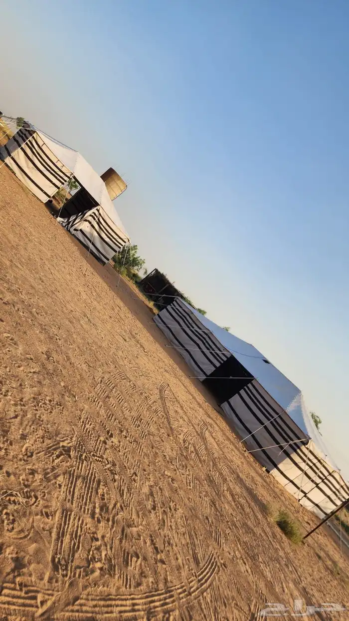 بيوت شعر خيام 1