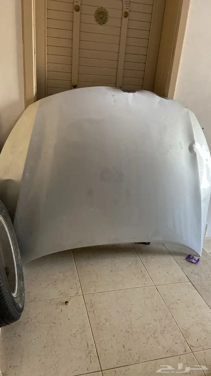 كبوت اوبتيما 0