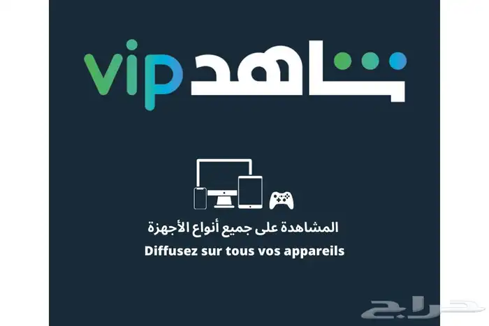 اشتركات شاهد و نتفلكس 0