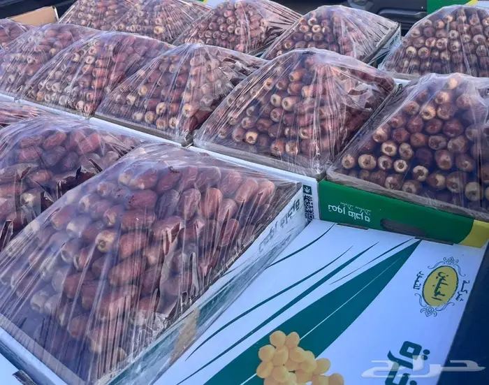 تمر صقعي للبيع 1