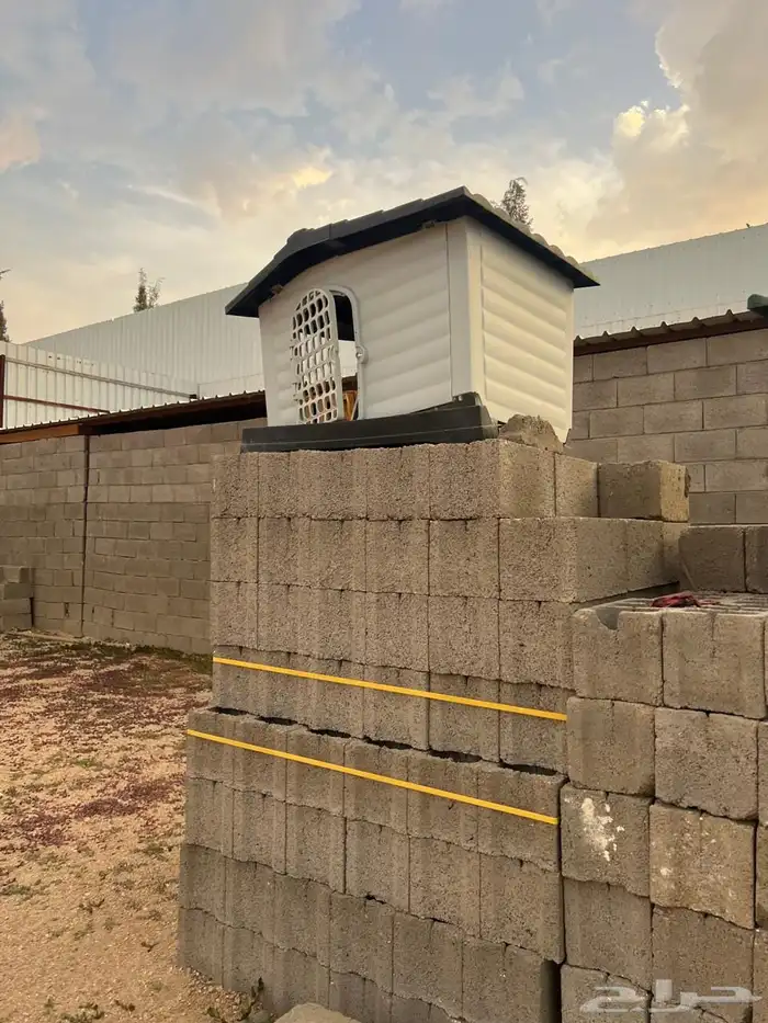 اكواخ كلاب وقطط 5