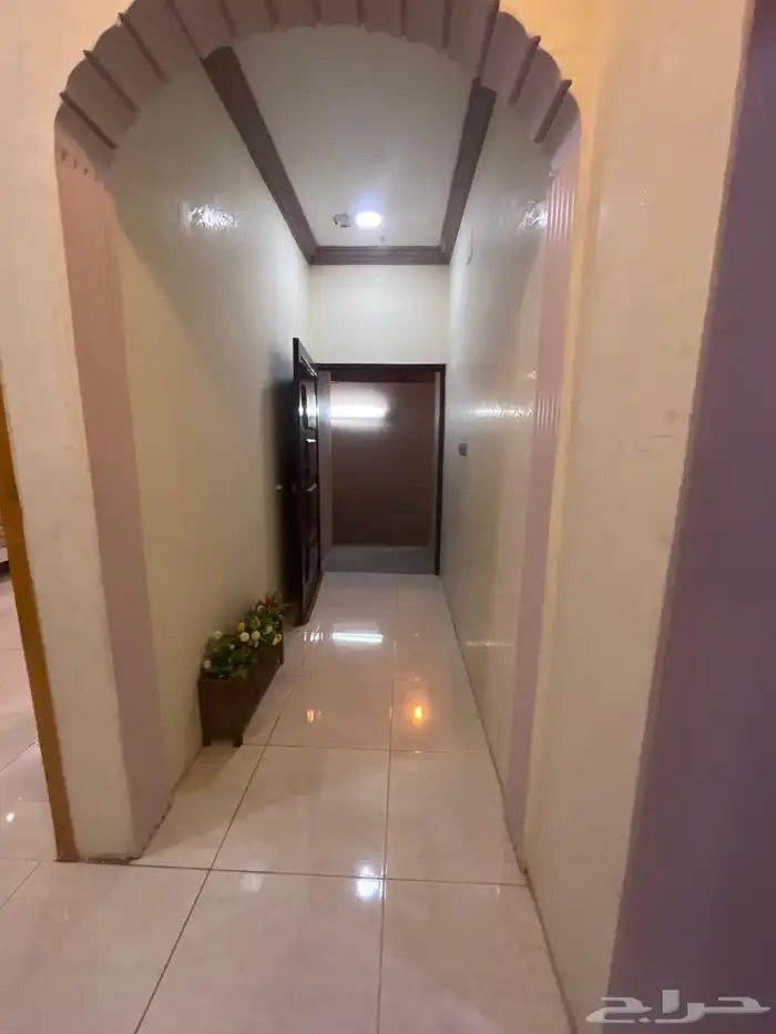 شقه مؤثثه للايجار 3