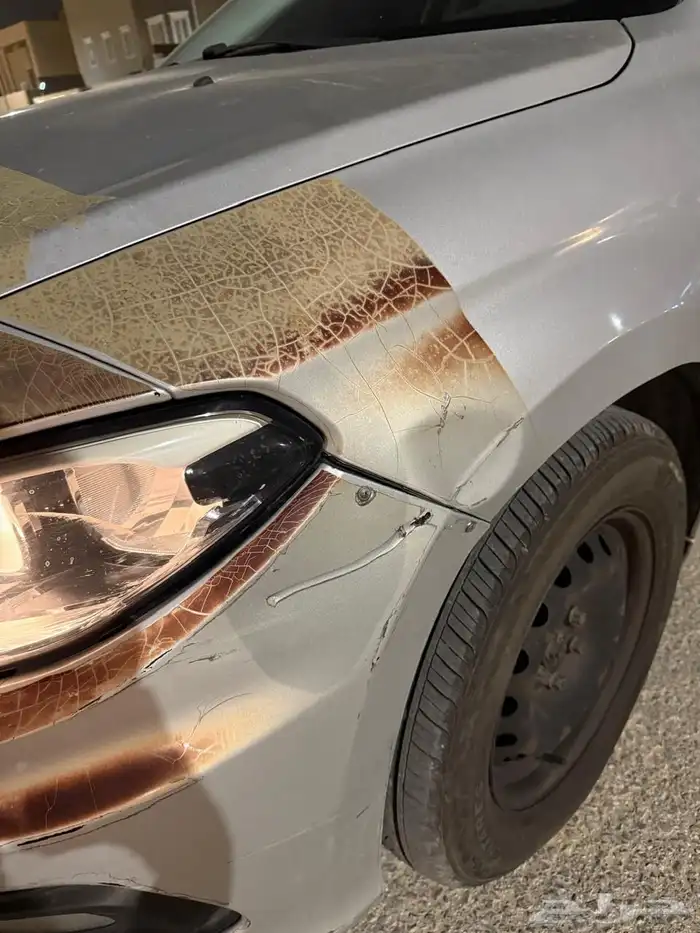 للبيع دوج نيون 2019 6