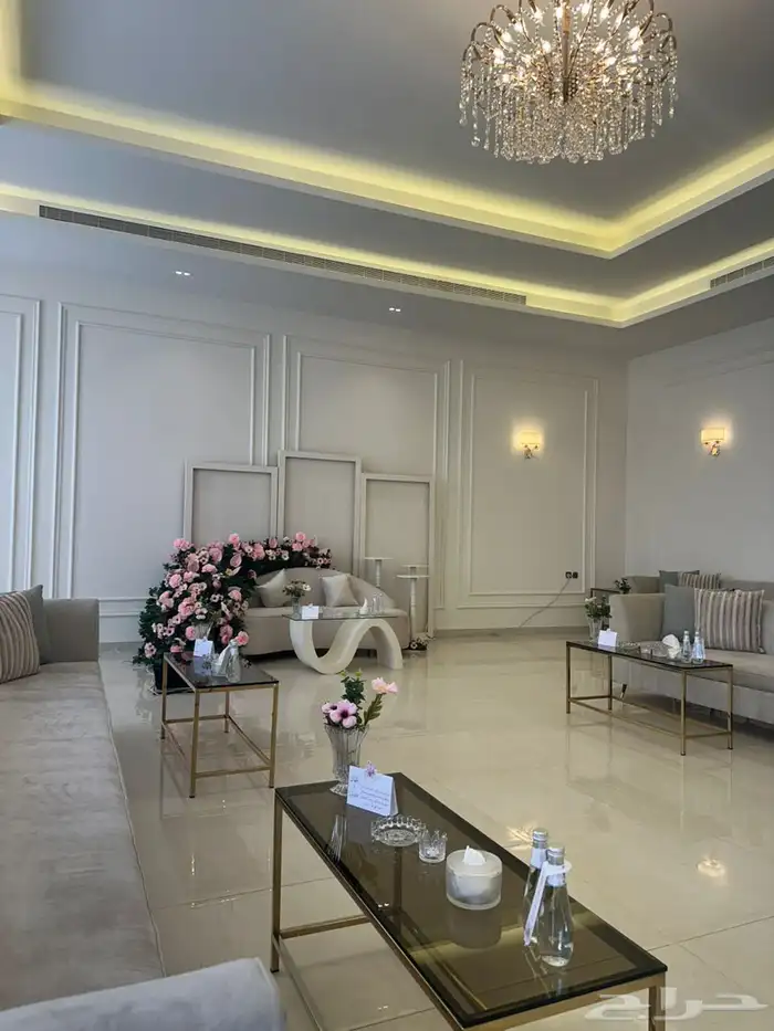 تاجير افتتاحات وبالونات 34