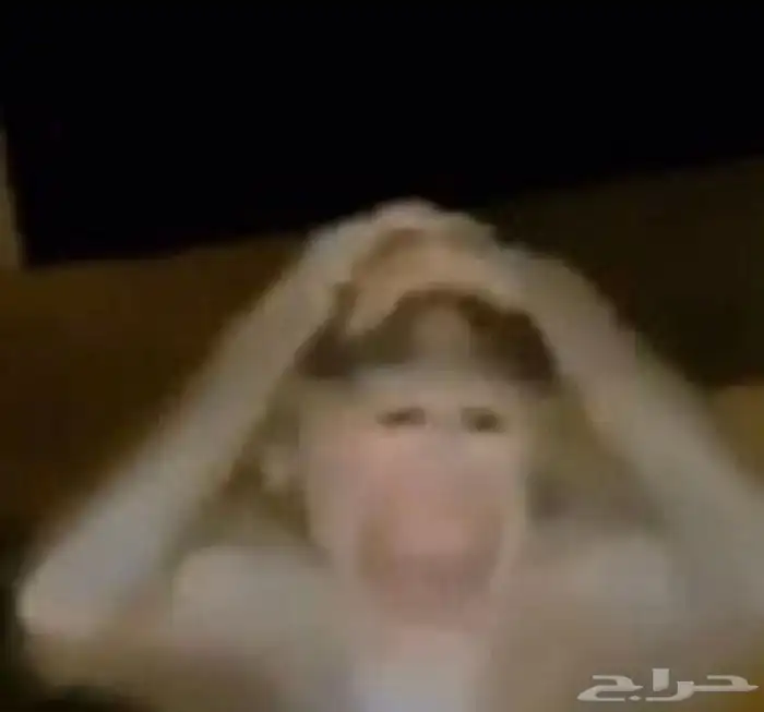 قطط كلاب طيور 6