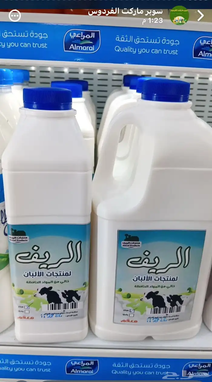 البان الريف 4