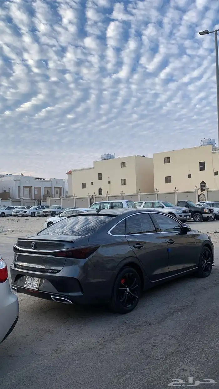 صبغ جنوط 1