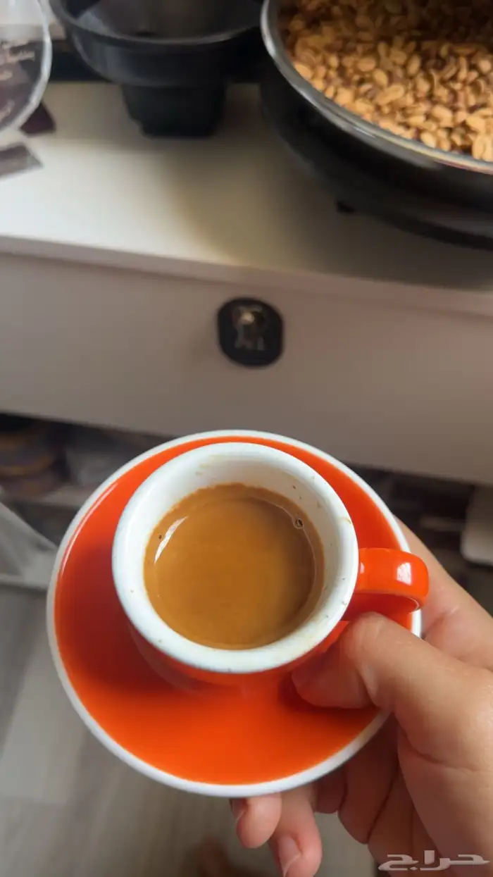 شراكه تجاريه مطعم   فود ترك جده 0