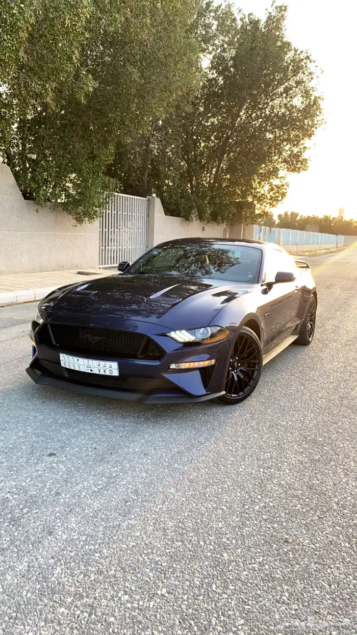 فورد موستنق بيرفورمنس بكج gt 2019 0