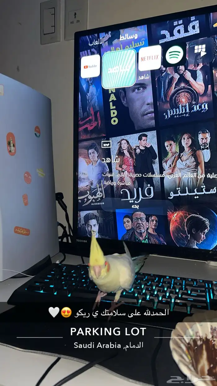 كروان اليف ذكر هدد داخلي وخارجي 7