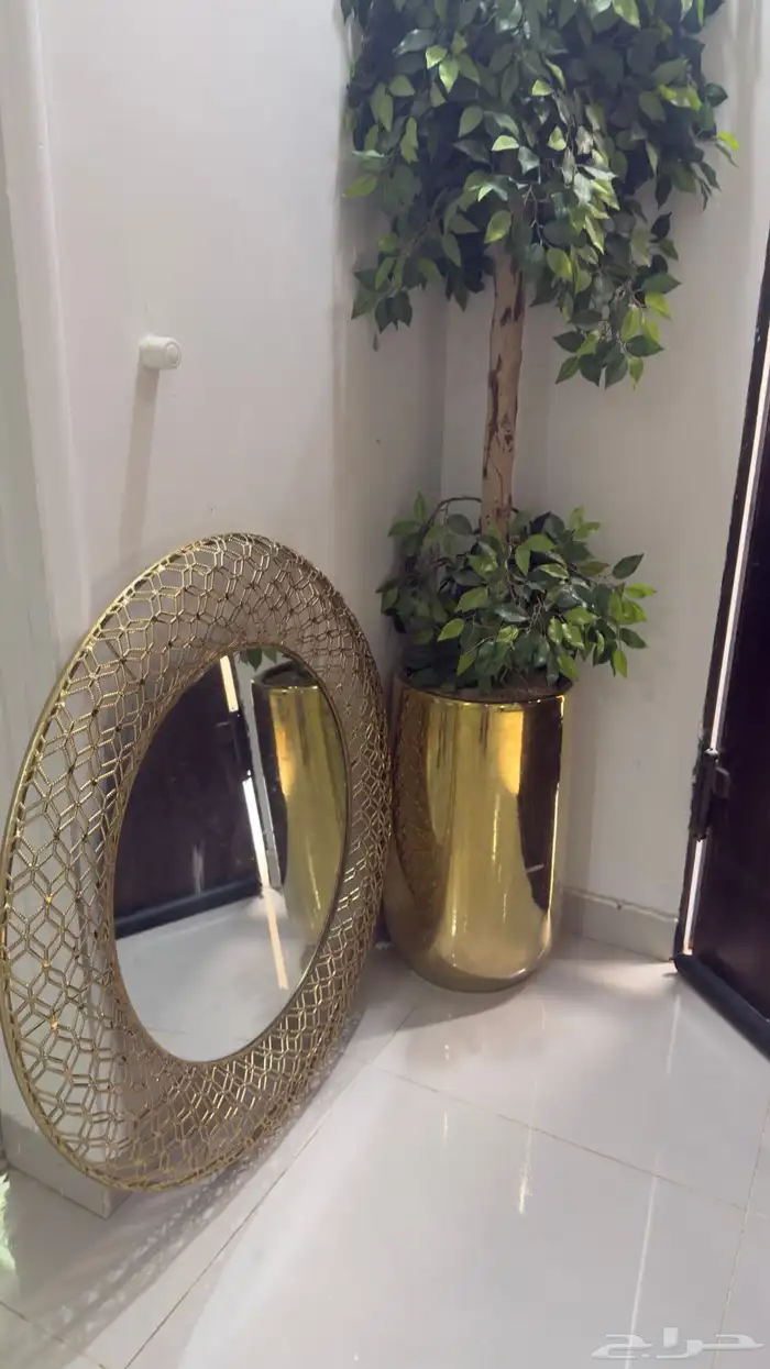 شجره 0