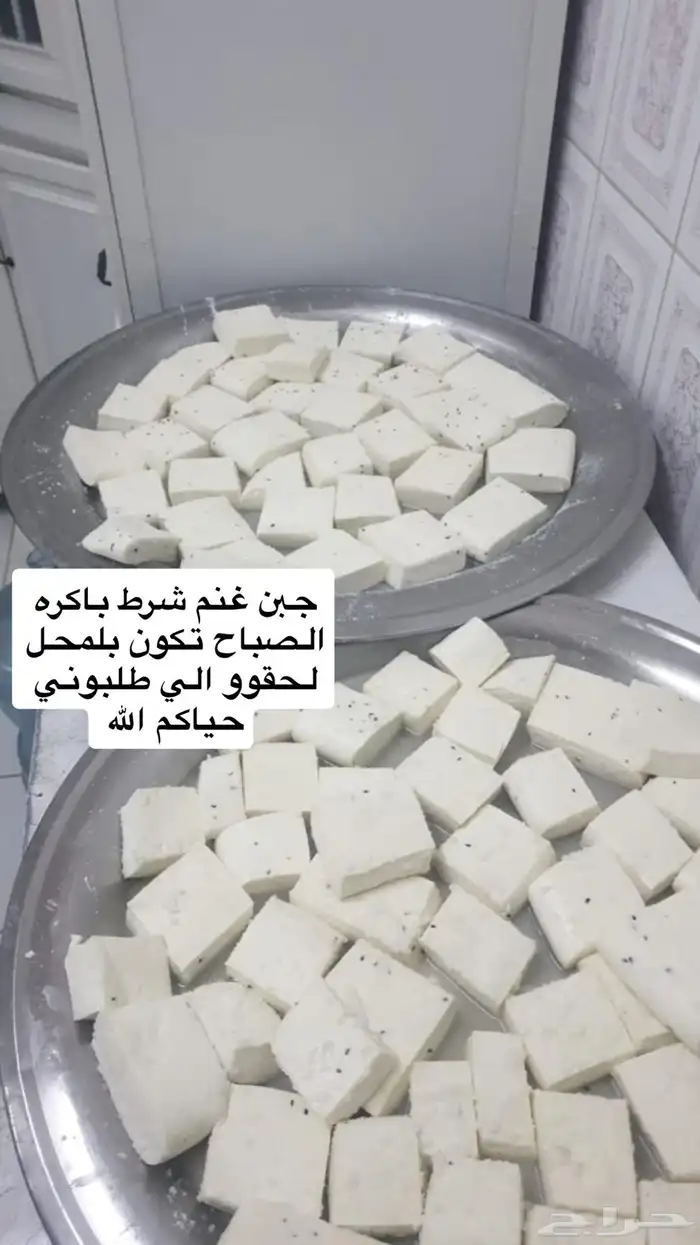 اجبان اللبان 6
