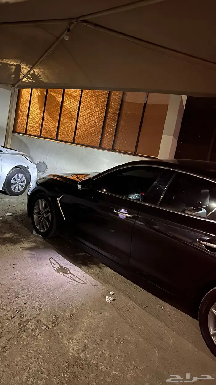 جنسس 13