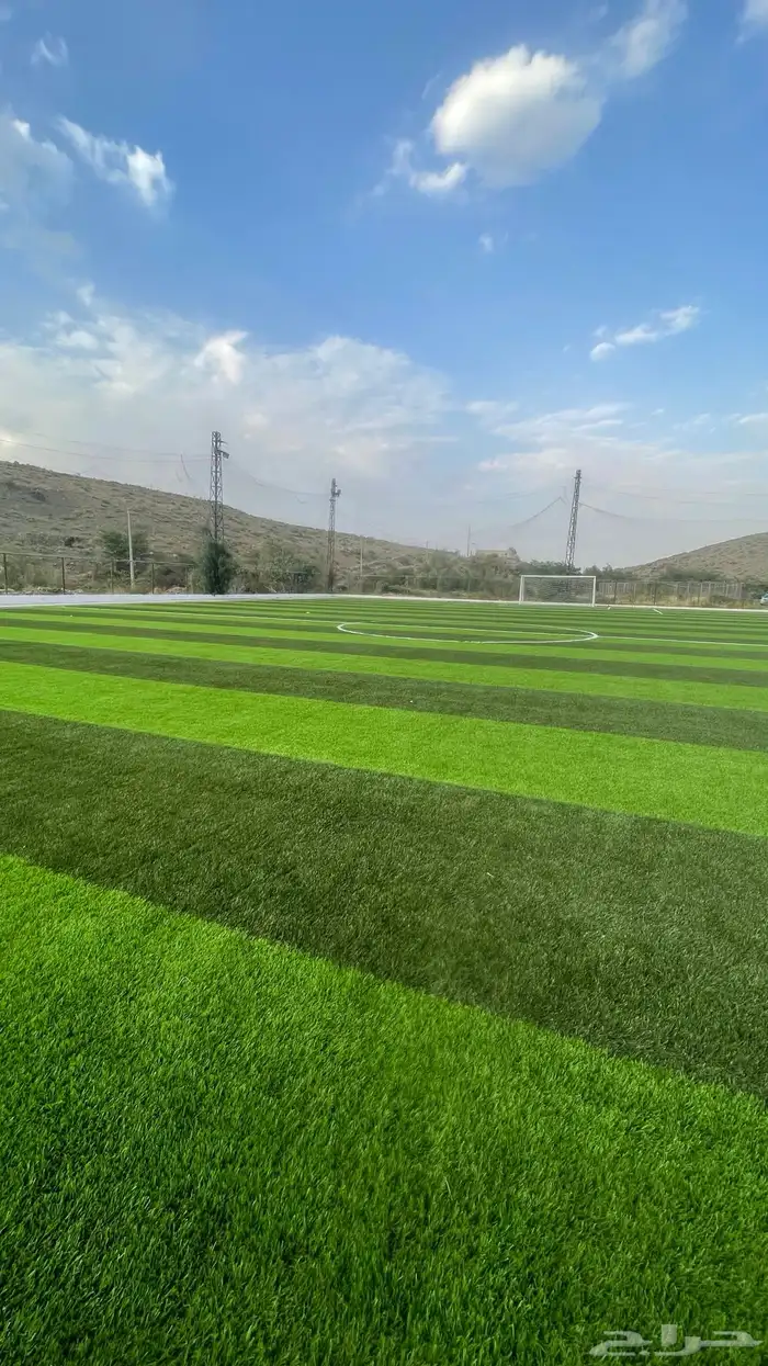 استثمار ملعب وسم أبها 5