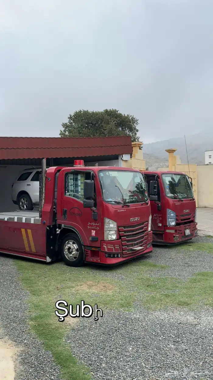 سطحه بللحمر بللسمر تنومه 0