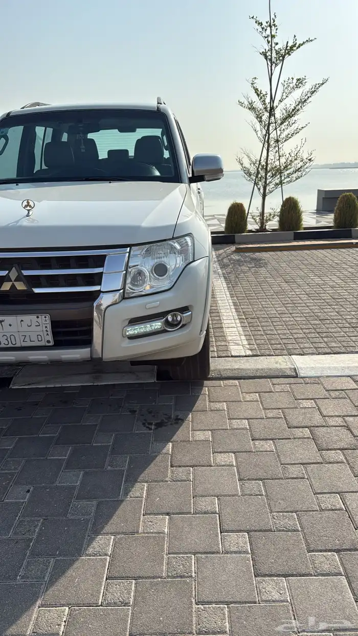 باجيرو 2020 13