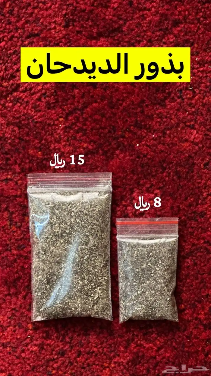 بذور خزامى 1
