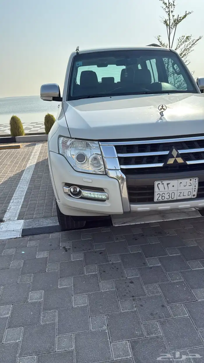 باجيرو 2020 12