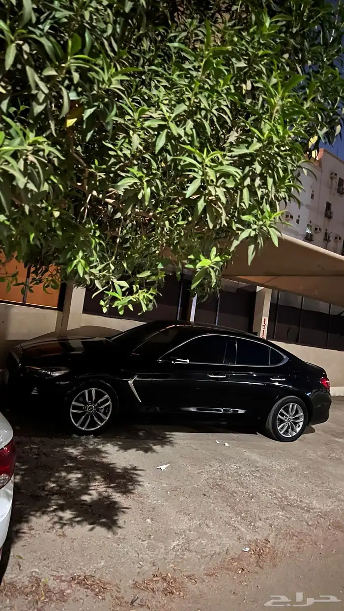 جنسس 14