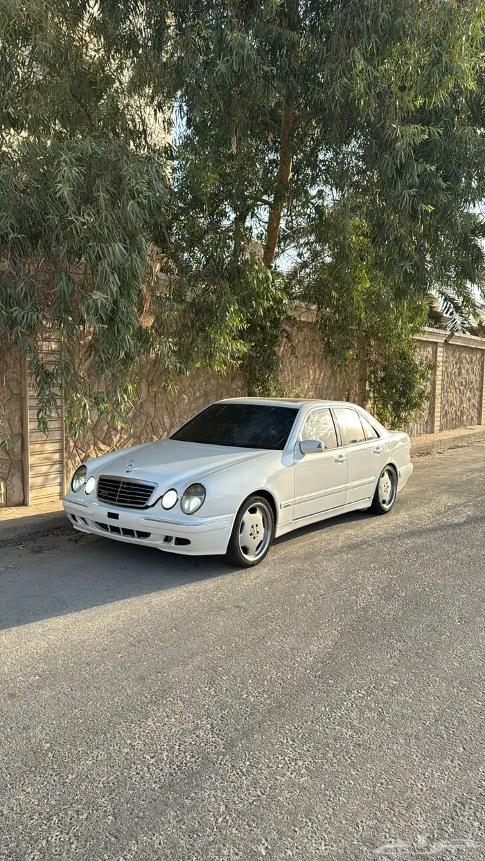 مرسيدس بوعيون 29