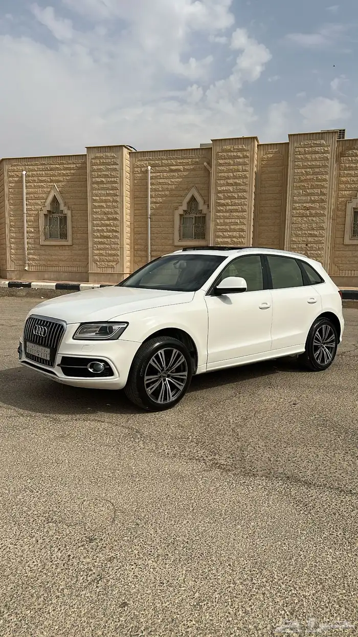 Q5 2013 1
