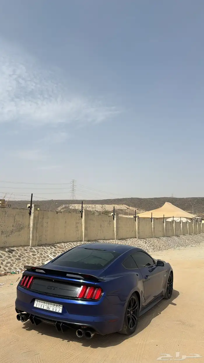 موستنج موستنق 2015 5.0 8V 0