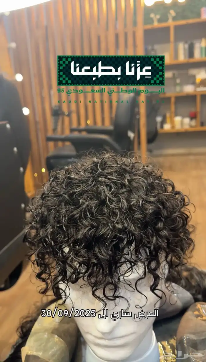 تركيبات شعر شبكة فرنسيه شعر طبيعي 100 2