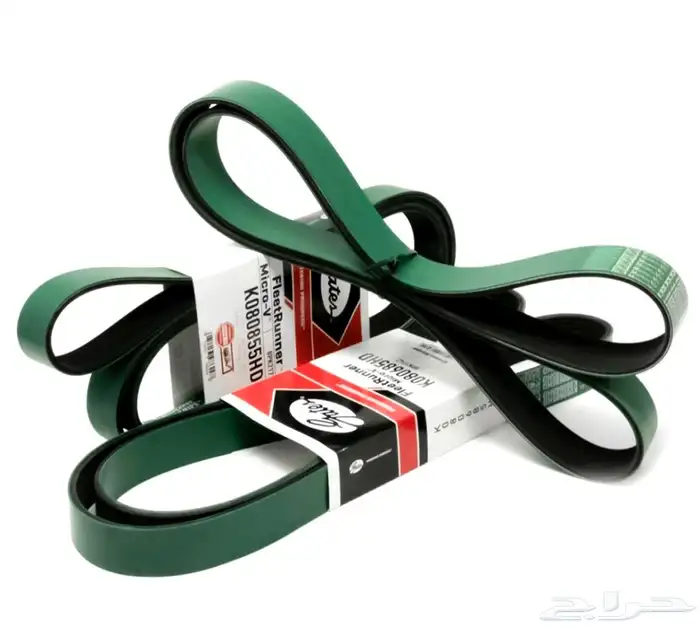 هيلكات سيور Hellcat Belts 0