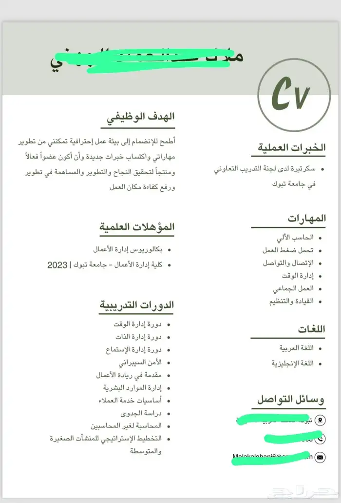 سي في احترافي 2