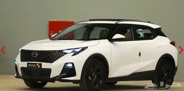 عرض خاص لليوم الوطني جي ايه سي GS3 امزوم GL بلس 2025 21