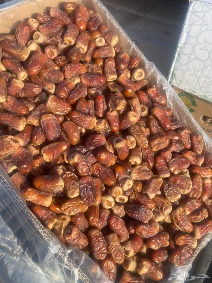 متوفر تمر العيص برني وكعيمر 2