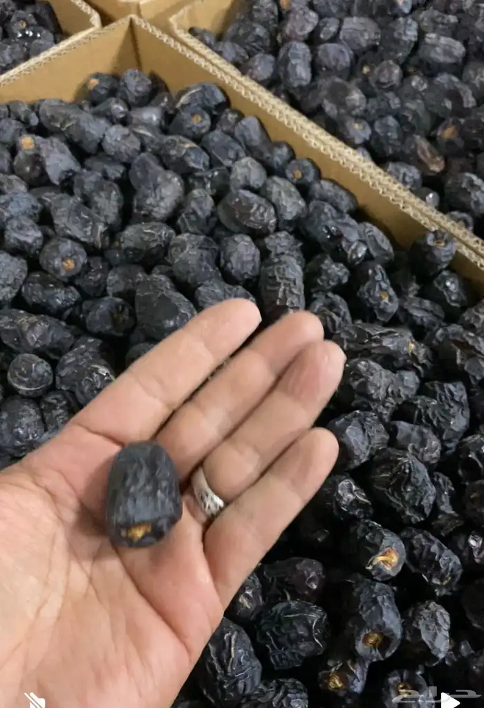 تمر عجوه للبيع 0