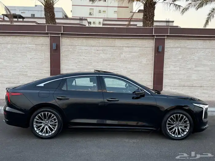 فاو بسترن B70 موديل 2023 (( تم البيع )) 9