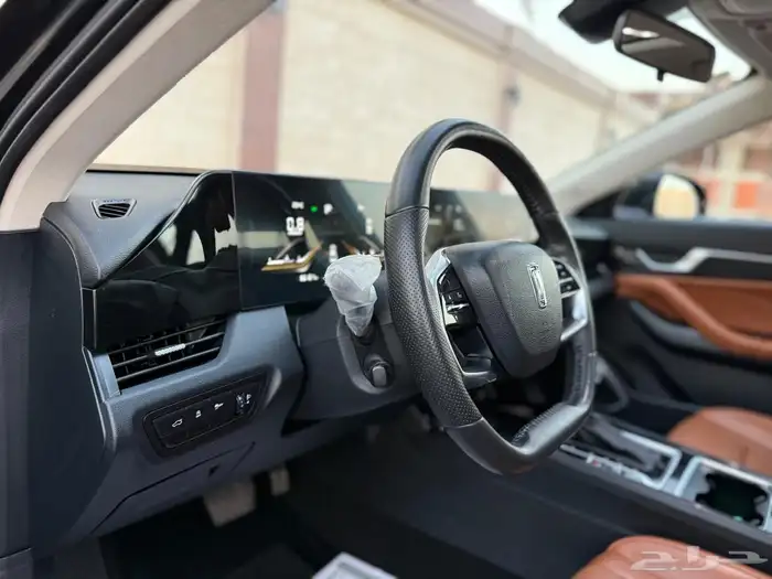 فاو بسترن B70 موديل 2023 (( تم البيع )) 14