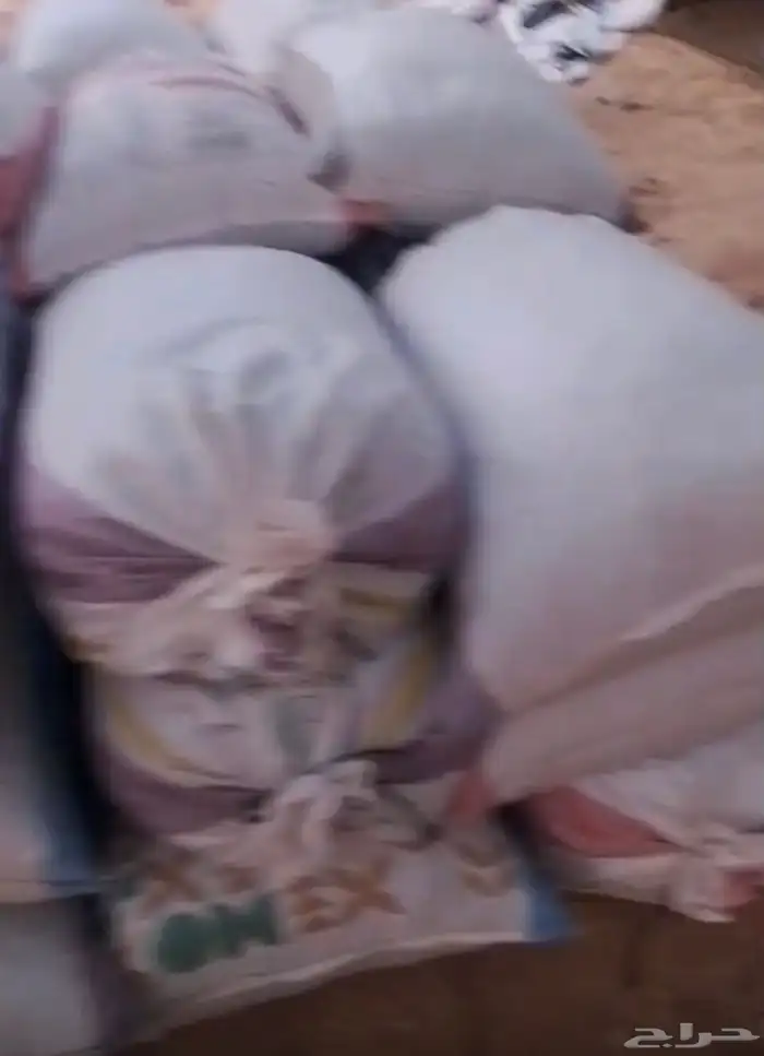 يوجد علاف تمر البيع   وادي العين 1