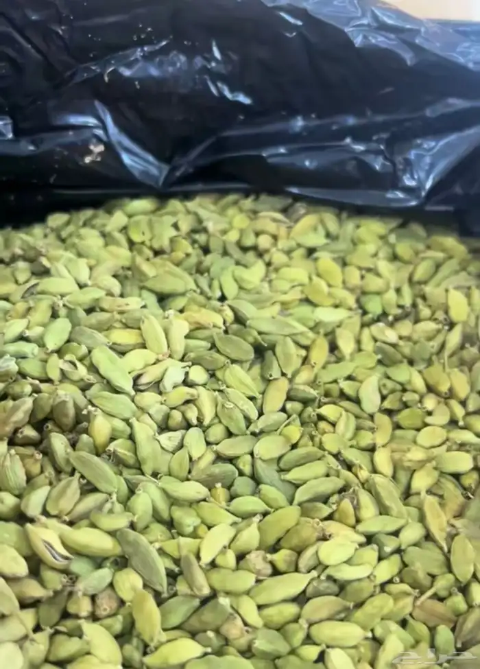 اجبان اللبان 14