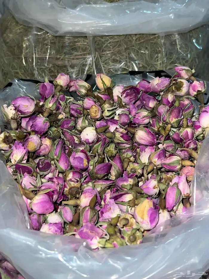أعشاب ابو سفيان طبيعية 23