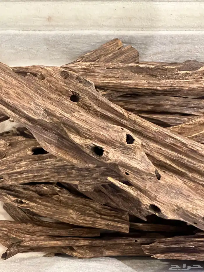 عود هندي نجلاند طبيعي 4