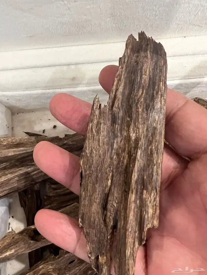 عود هندي نجلاند طبيعي 3