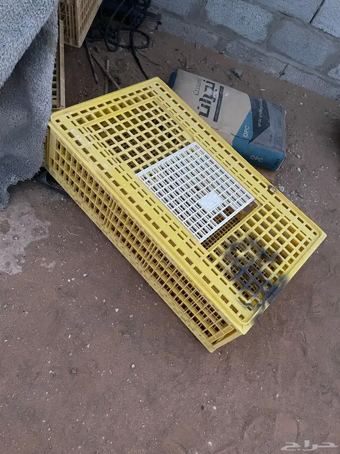 شبوك لنقل الطيور 0