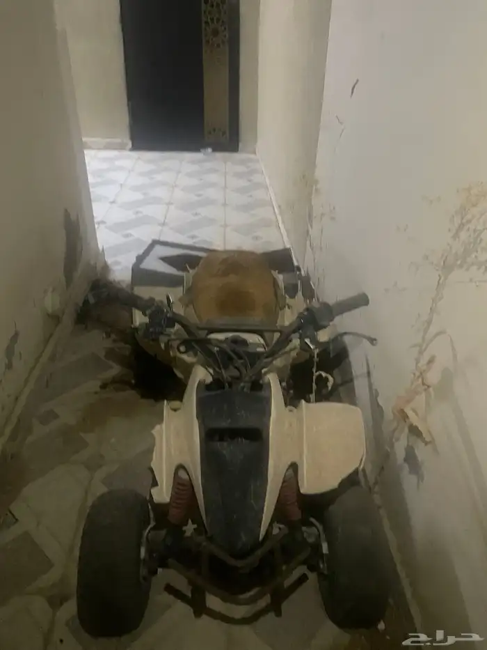 2 دباب حجم 50 وحجم 100 لا البيع الموقع القصيم المذنب 3